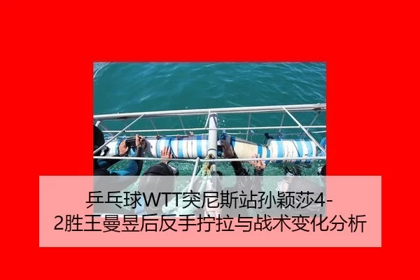 乒乓球WTT突尼斯站孙颖莎4-2胜王曼昱后反手拧拉与战术变化分析