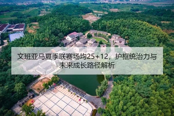 文班亚马夏季联赛场均25+12，护框统治力与未来成长路径解析